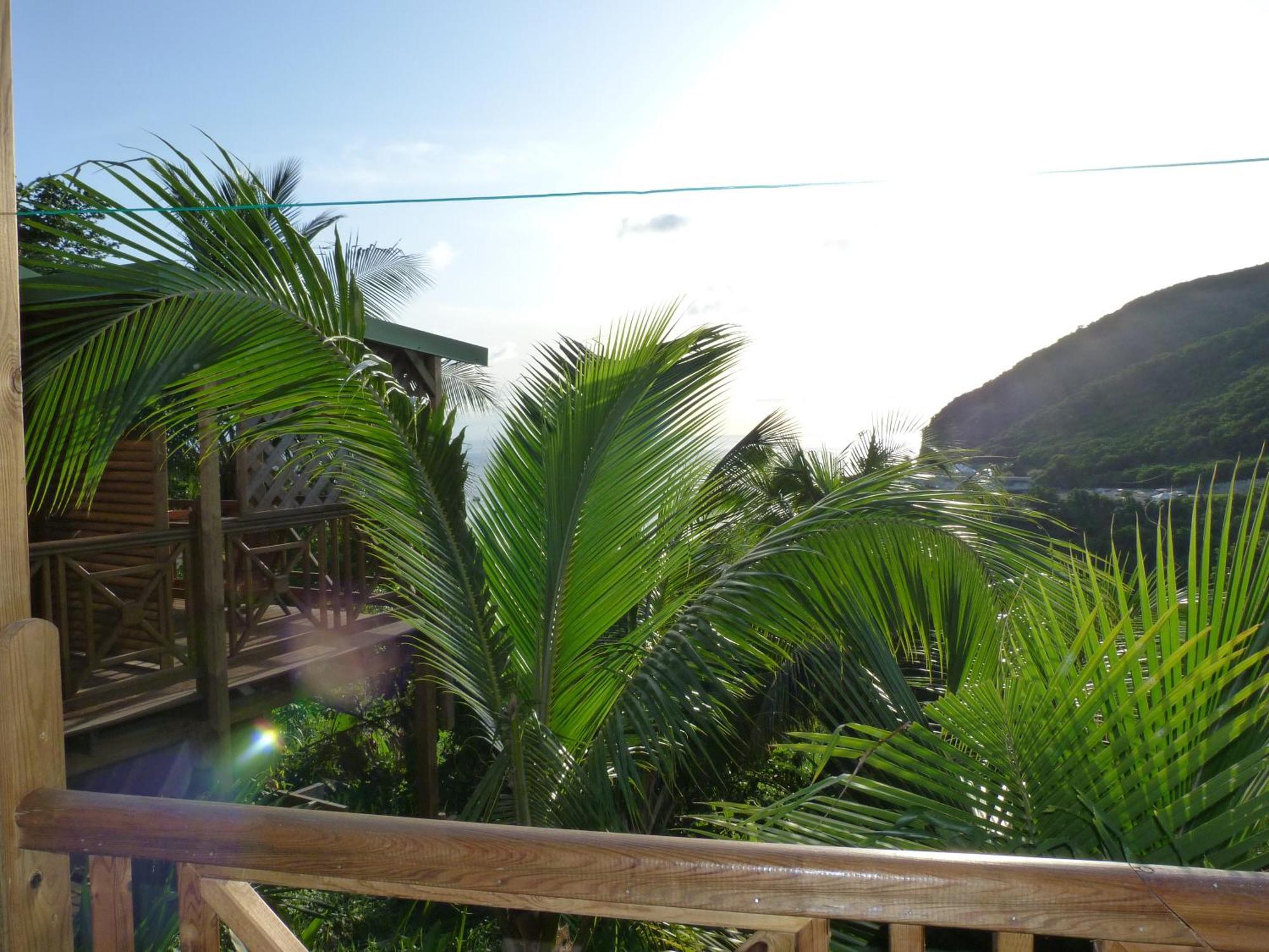 Les Hauts De Deshaies Exterior photo